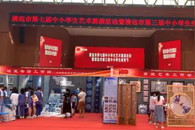 视频｜废布料变玩偶，毛线拼画梵高……清远这场艺术展你看了吗？图片