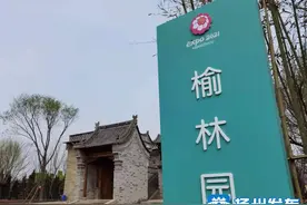 榆林园成“红色阵地”，30万人次来看山丹丹开花红艳艳图片