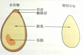 吃了多年的全麦面包竟然是假的？全谷物食品的正确选购方式→图片
