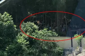 10多人上山拍明星被困！网友怒了图片