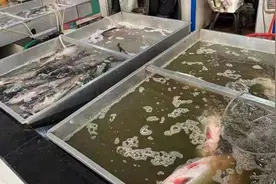 荆门人常吃的这种食物价格为何上涨？真相来了…图片