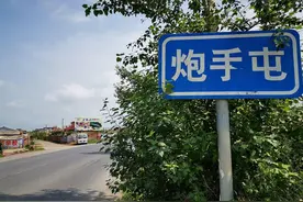 哈尔滨五旬汉子持石块大战群狼，救下的爱犬当晚重伤身亡图片