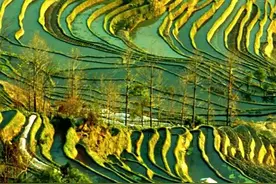 天目地理志从乡土小吃到网红名点 5块钱的烧饼越做越大视频封面