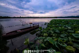 好摄·夏日美图｜日出、晚霞、暴雨、彩虹，这些都是大家“入画”的好题材图片