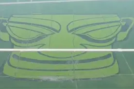 30秒丨四川广汉稻田种出三星堆“青铜面具” 网友大呼撞脸“郑云龙”视频封面