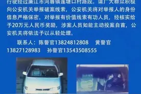 广东廉江警方对8年前一交通肇事案两发悬赏通告，赏金20万图片
