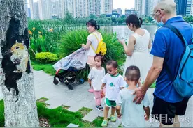 大树里“钻出”松鼠，西北湖3D树画引人注目图片