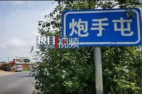 哈尔滨五旬汉子持石块大战群狼，救下的爱犬当晚重伤身亡图片