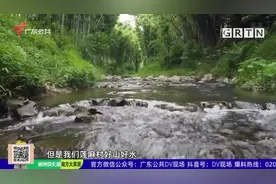 广州莲麻村：从冷清贫困的“北极村”蜕变美丽乡村北大门视频封面