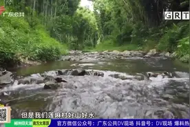 广州莲麻村：从冷清贫困的“北极村”蜕变美丽乡村北大门视频封面