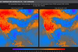 真要命！极端高温下，美国加州如今既缺水又缺电……图片