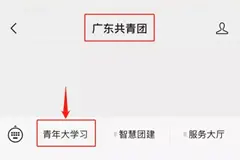 “青年大学习”网上主题团课参学、 查询手册以及常见问题图片