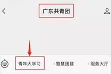“青年大学习”网上主题团课参学、 查询手册以及常见问题图片