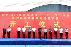 项目为王丨汝阳举行重大项目开工仪式，总投资94.2亿元图片