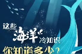 中国航海日｜这些海洋冷知识，你知道多少？图片