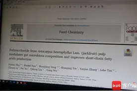中国热科院在菠萝蜜多糖调节肠道菌群等方面取得进展图片