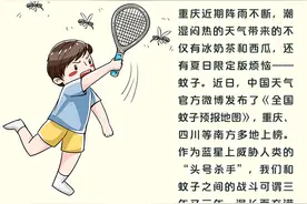 上游大数据 | 重庆上榜“人蚊大战”地图，这款“夏日限定”烦恼咋破啊图片