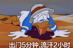 35℃，青岛今日入伏！Get这份清凉地图，你就是夏天最“凉”的仔图片