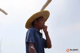 图集| 三水疍家人的乡愁与依恋，都在北江边的小小船只上图片