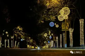 佘山脚下的“星球宇宙”，点亮了一片夜空图片