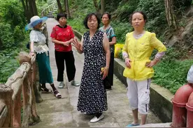 群猴下山“抢劫”，把药当饭吃，贵阳阿姨被当场吓哭图片