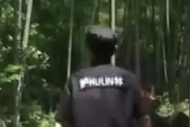 护林员每天巡逻山林6小时：亲近大自然缓解了焦虑感视频封面