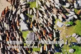 身着警服的“牧羊人”护航牧民安全转场视频封面