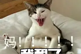 “不要喊妈！”她和7岁儿子签下的这份条约火了图片