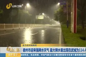 德州市迎来强降水天气，最大降水量出现在武城县，为114.4毫米视频封面
