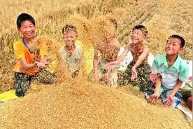 儿时家乡的麦收图片