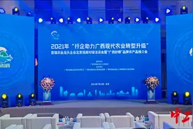 “广西好嘢”八桂特产走出田间到餐桌图片