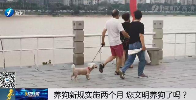 出门遛狗这些东西你带了吗，不带会被罚款哦