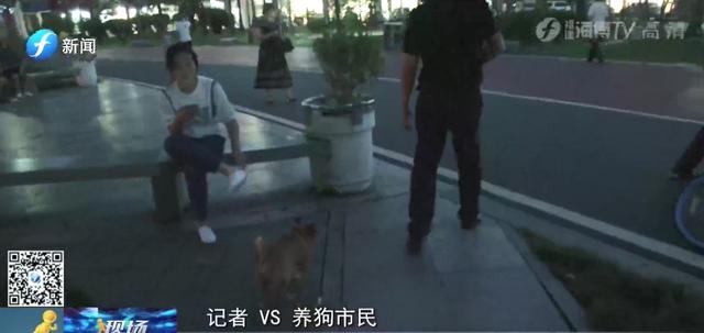 出门遛狗这些东西你带了吗，不带会被罚款哦