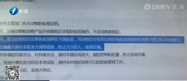 出门遛狗这些东西你带了吗，不带会被罚款哦