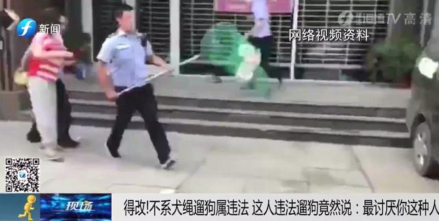 出门遛狗这些东西你带了吗，不带会被罚款哦