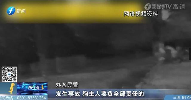 出门遛狗这些东西你带了吗，不带会被罚款哦