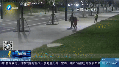 出门遛狗这些东西你带了吗，不带会被罚款哦