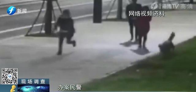 出门遛狗这些东西你带了吗，不带会被罚款哦