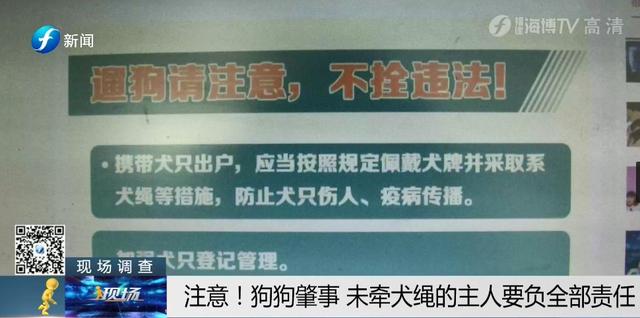 出门遛狗这些东西你带了吗，不带会被罚款哦