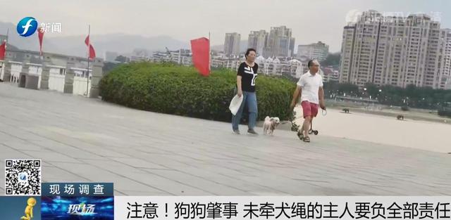 出门遛狗这些东西你带了吗，不带会被罚款哦