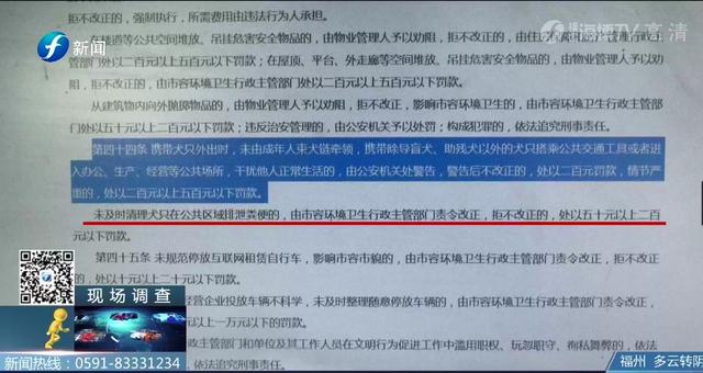 出门遛狗这些东西你带了吗，不带会被罚款哦