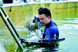 “鲸”险大救援！12头“迷路”瓜头鲸生死营救始末图片