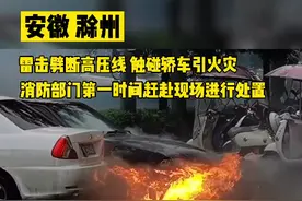定远一处高压线被雷击断砸中轿车 瓢泼大雨中引发火灾图片