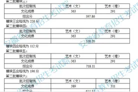 安徽省2021年艺术类第二批控制线公布图片