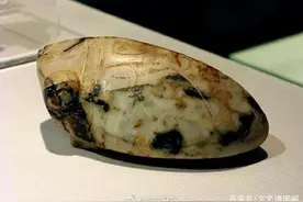 蝉在古代称知鸟或麻吉鸟，属于自带流量的动物图片