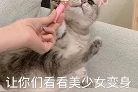 低头族人手一个的刚需好物，百元能买好几件图片