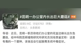 一办公室长野生菌，2.8亿网友围观！专家：有毒，别吃图片