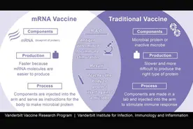 科学家解释免疫机理：辉瑞与莫德纳mRNA疫苗不会影响人类遗传信息图片