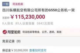 四川两架估值过亿的私人飞机将被司法拍卖，牵出背后“隐秘富豪”图片
