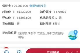 四川两架估值过亿的私人飞机将被司法拍卖，牵出背后“隐秘富豪”图片